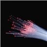 Fiber Optik Işıklar Son Yayan