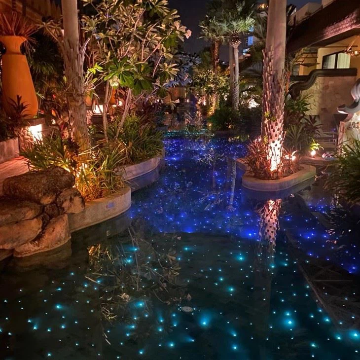 Fiber Optic Pool Light