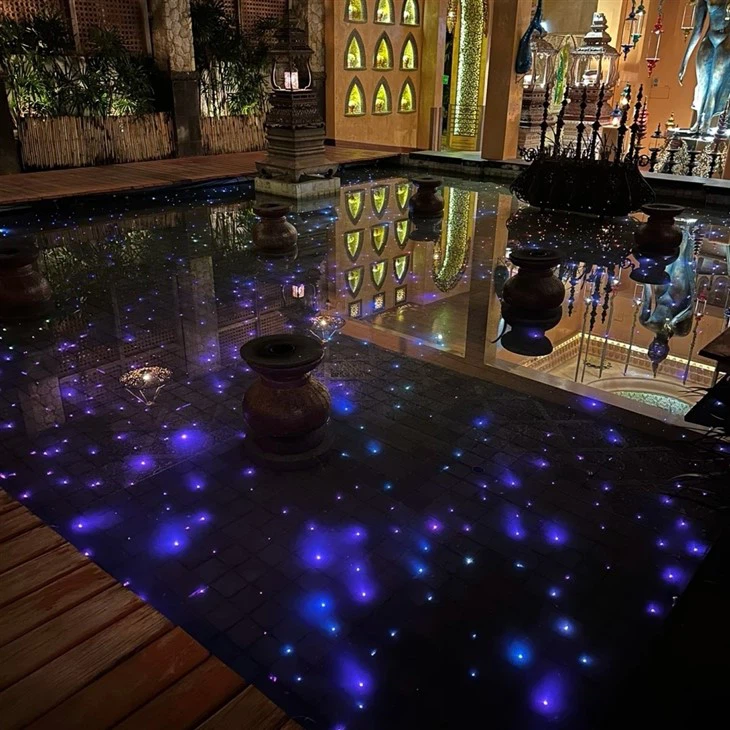 Fiber Optic Pool Light