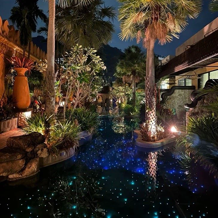 Fiber Optic Pool Light